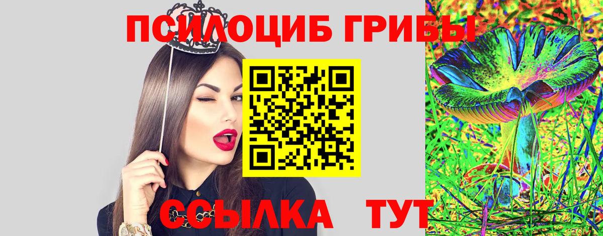 Ипатово  Псилоцибиновые грибы MAGIC MUSHROOMS  Галлюциногенные грибы Cubensis  Вход с VPN 
